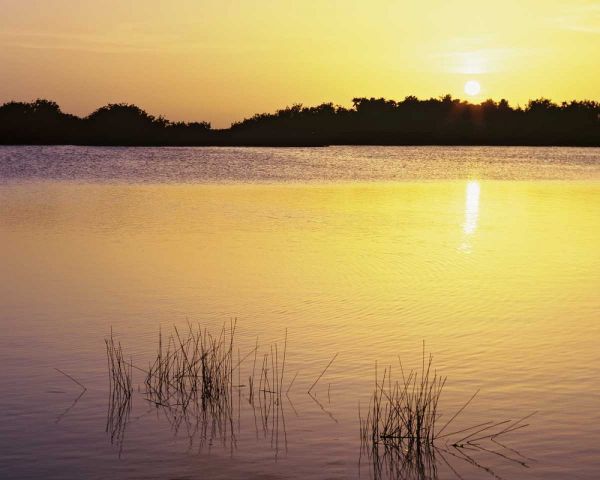 Florida, Everglades NP Sunset reflection on lake